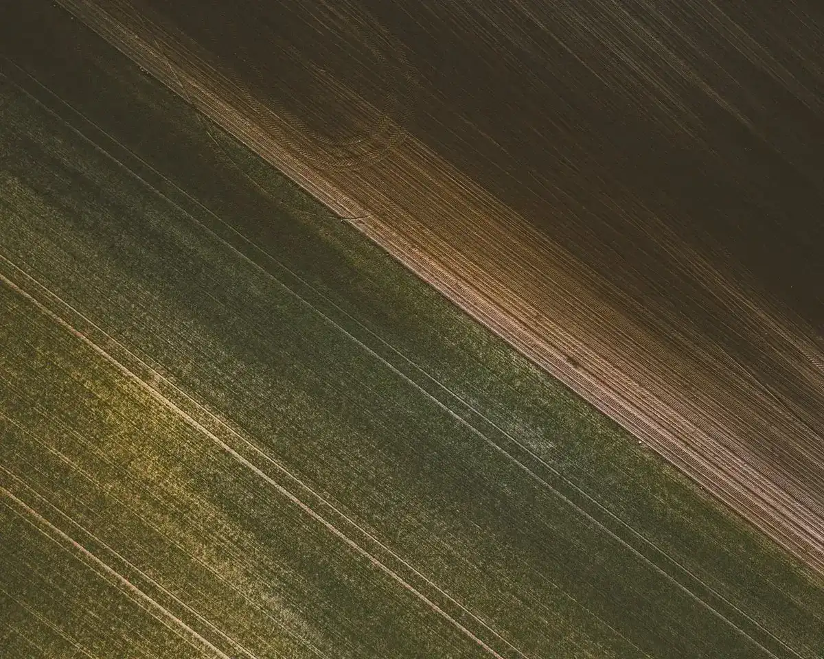 Aerial view of patterned agricultural fields