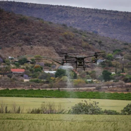Spray drone releasing a fine mist across a crop row