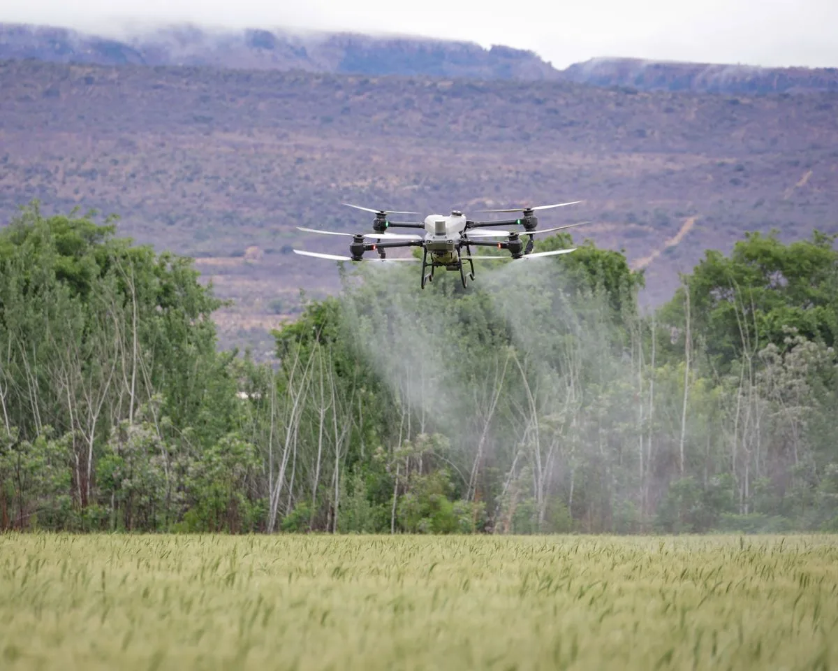 Aerial view of a drone spraying a lush green field