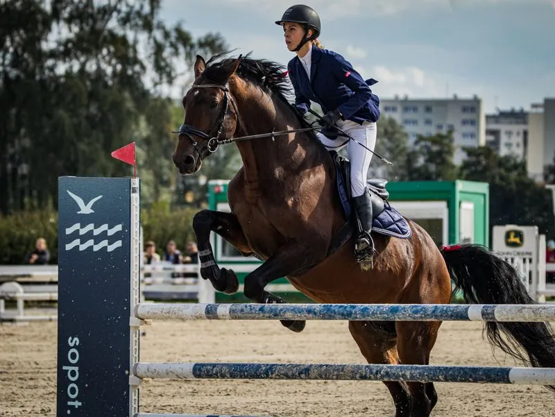 Deshi Varga riding a bay horse over a fence