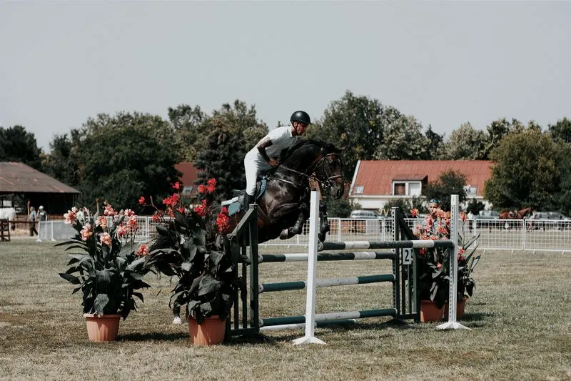 Rowan Adeyemi-Fitch working a dark horse