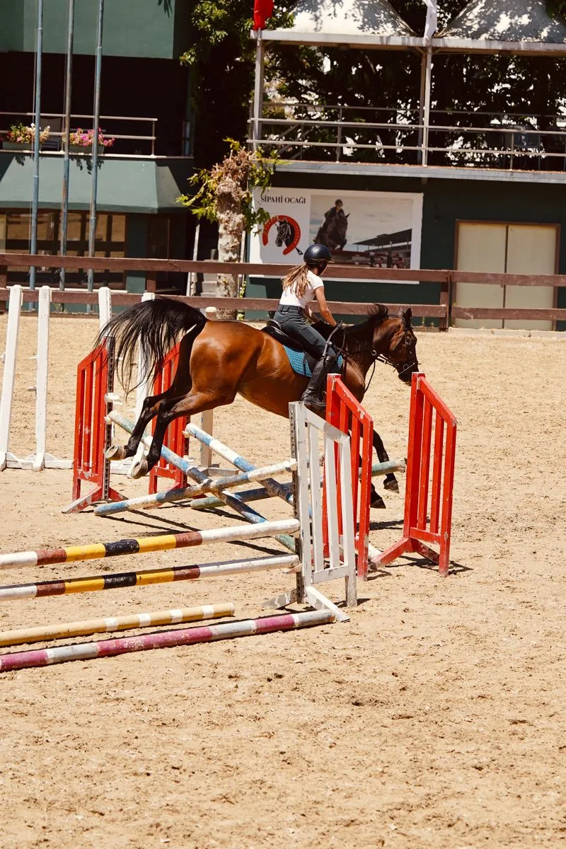 Tobias Ngata riding a chestnut horse in the arena