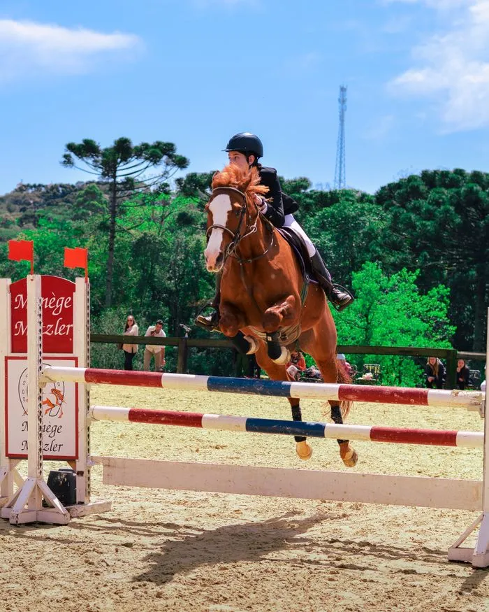 Peregrine, a bay mare, jumping under a clear sky