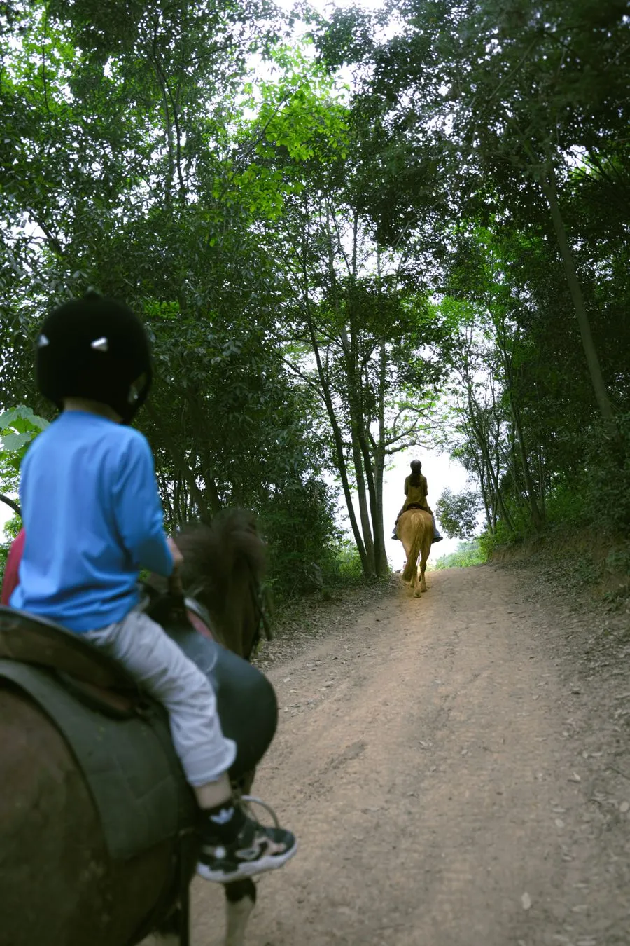 Young riders on a shaded woodland trail
