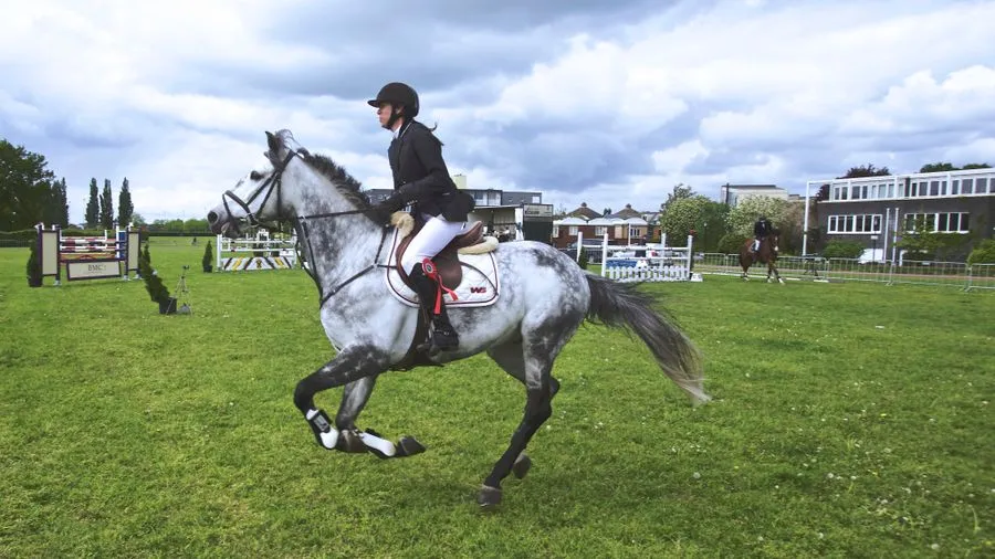 A grey horse and rider clearing a fence