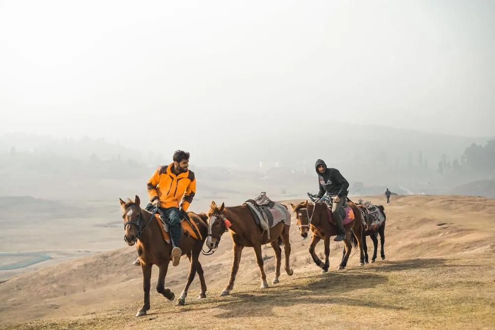 Riders hacking out along a misty ridge at first light