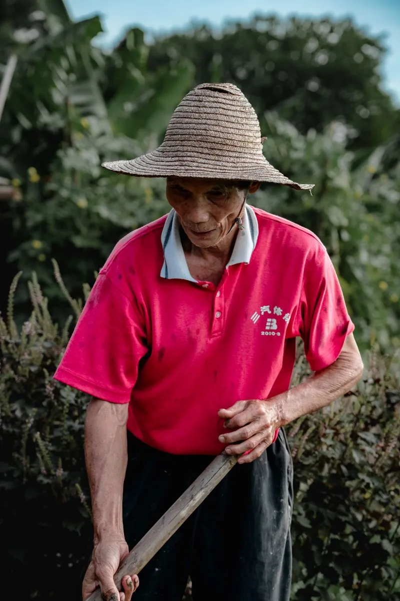 Chen Wei-Lin