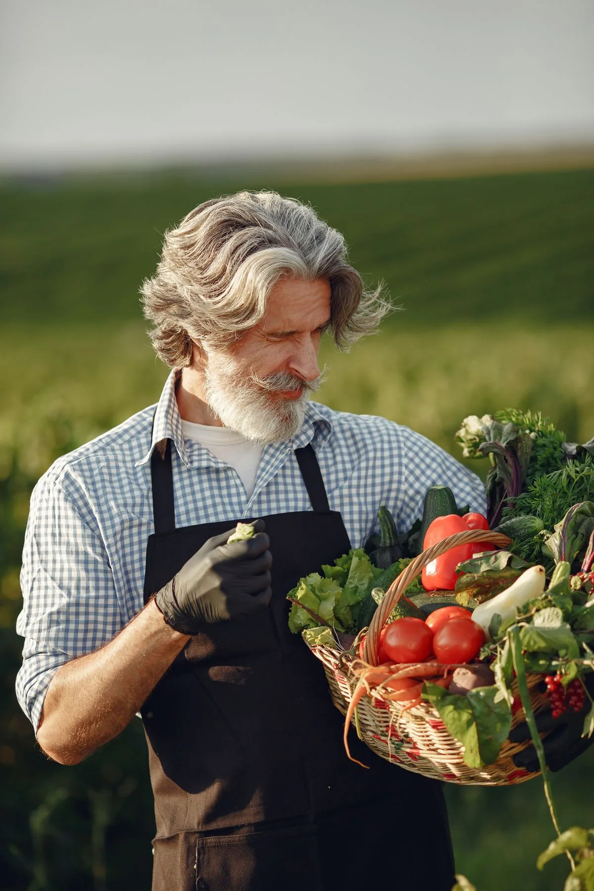 A grower carrying a basket of just-cut vegetables through a sunlit field