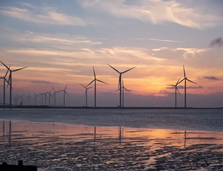 A year of wind data, and the honest verdict