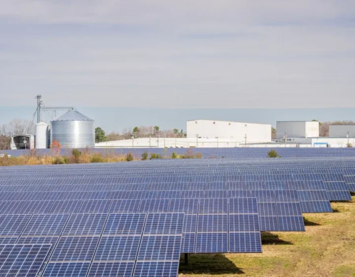 Farm arrays