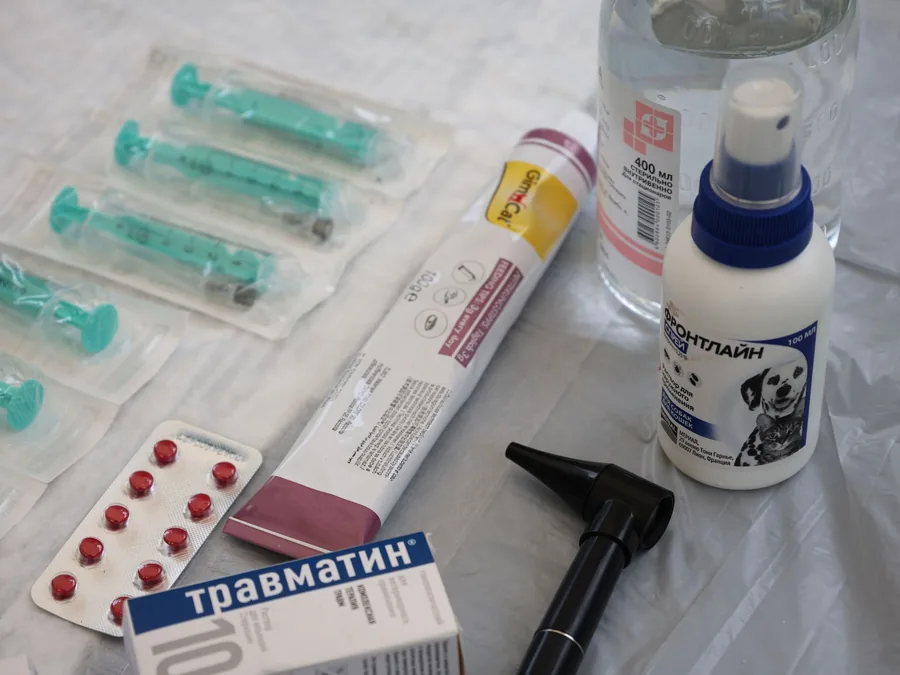 Veterinary medicines and supplies laid out on a treatment table