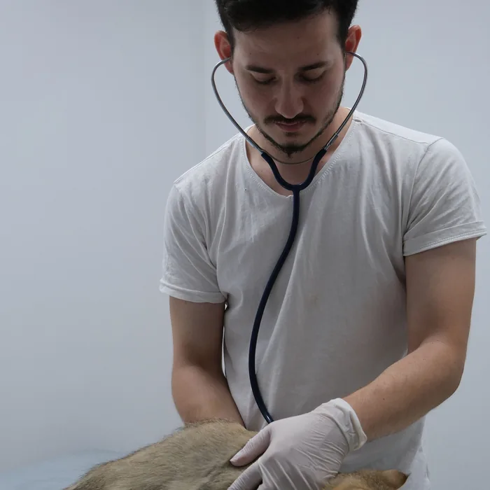 Dr. Noor Haddad