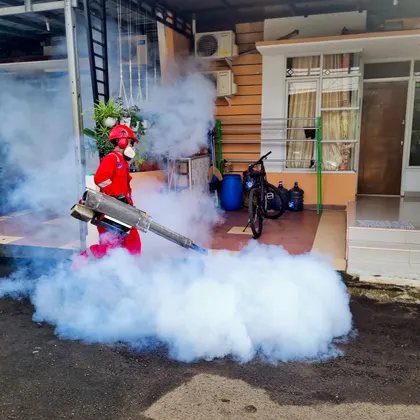 Residential pest treatment around a home