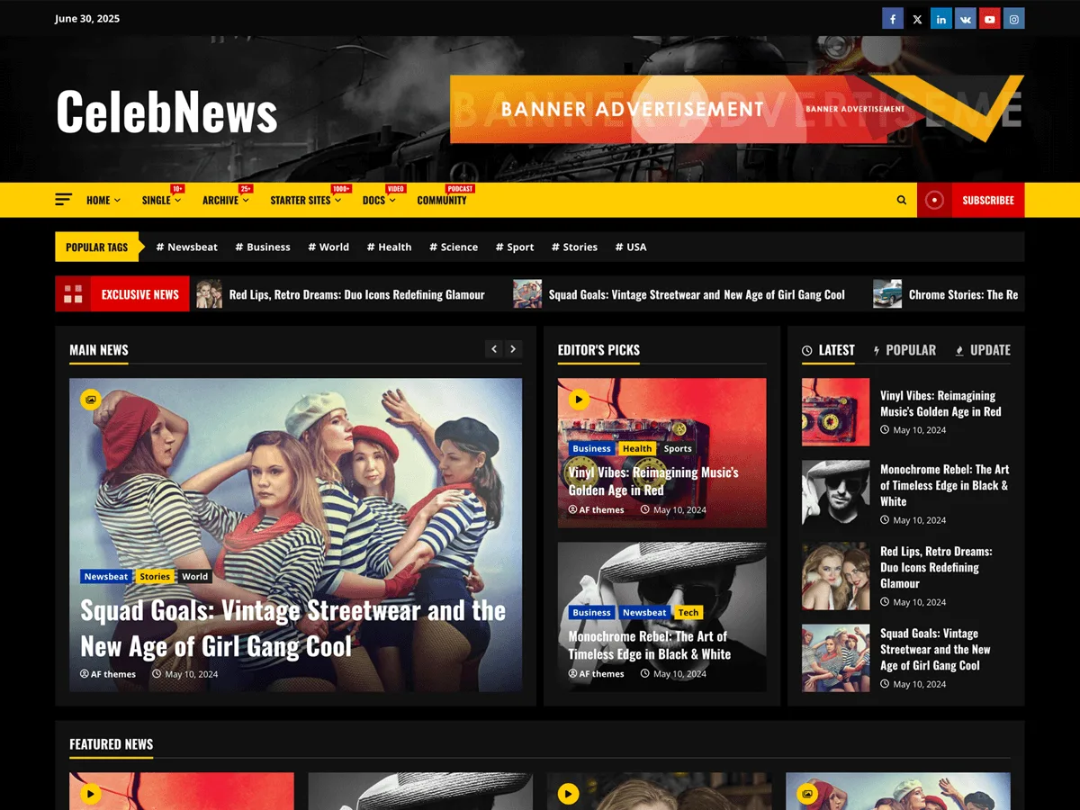CelebNews – WordPress theme for media company