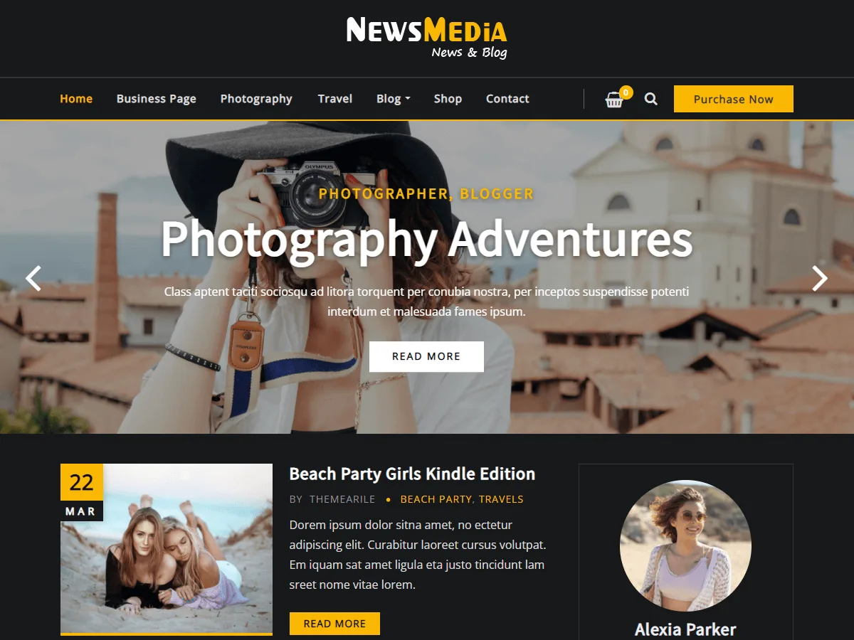 NewsMedia – WordPress theme for media company