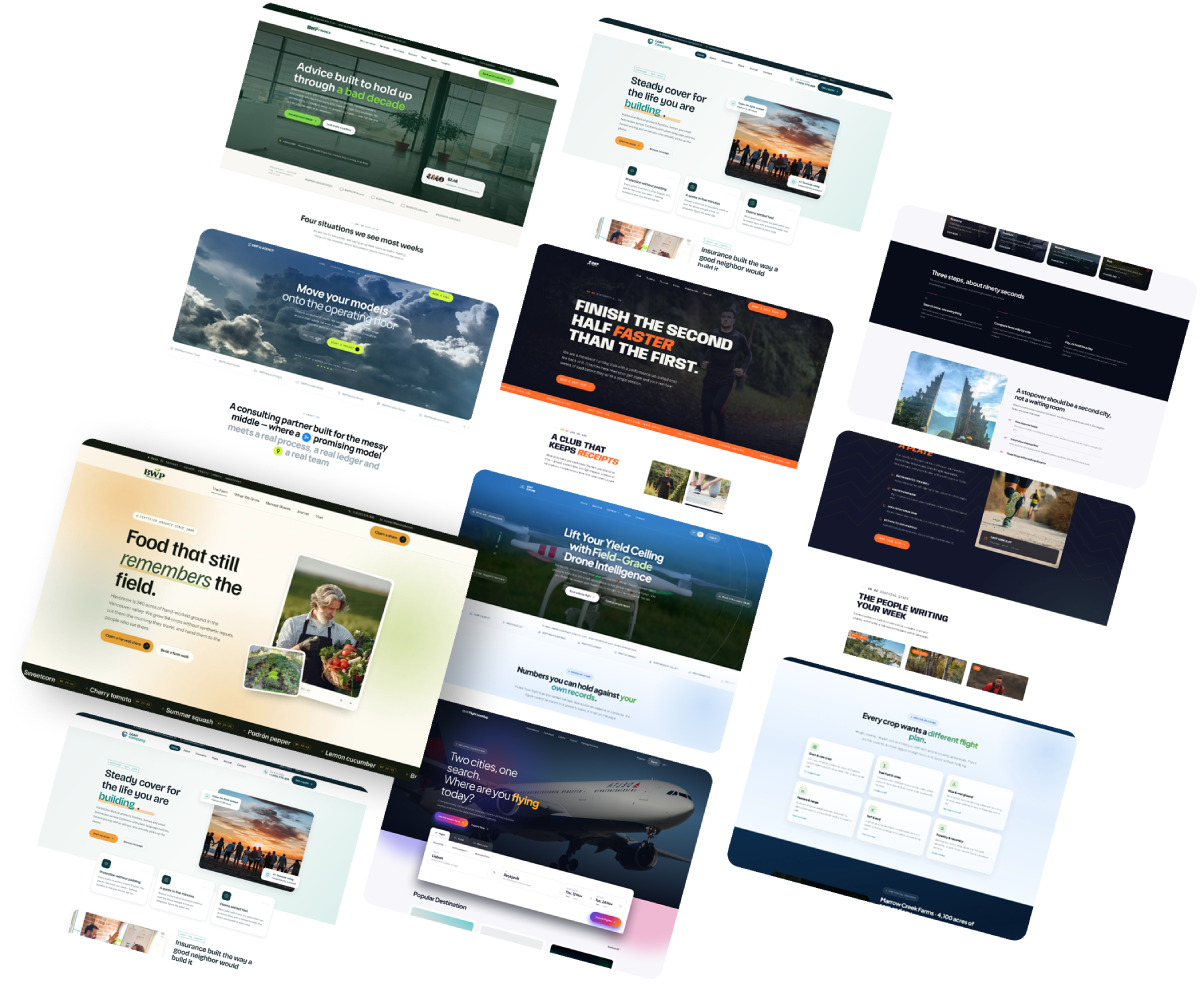 Featured WordPress theme demo preview